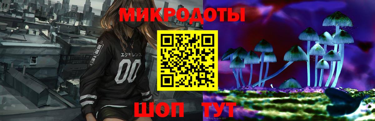 купить наркоту  Вход с VPN  Кызыл  Галлюциногенные грибы Psilocybe 